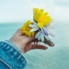 Photo of Person's Hand Holding Flowers