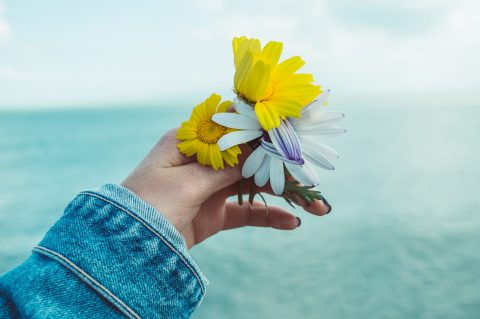 Photo of Person's Hand Holding Flowers