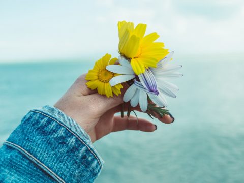 Photo of Person's Hand Holding Flowers